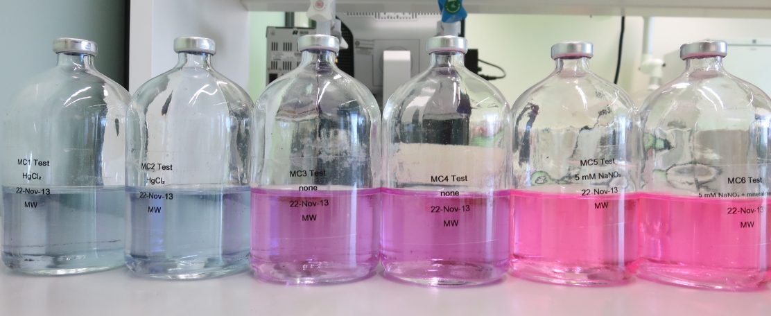 Anaerobic degradation of fuel oxygenates in groundwater