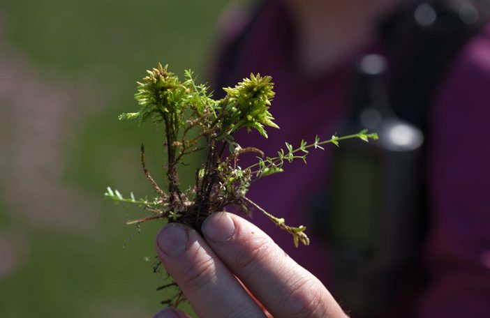 Circulaire watervoorziening tuinbouw: Operate