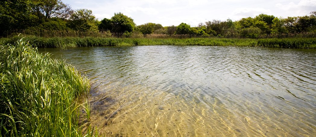 Microbial profiling bij duininfiltratie