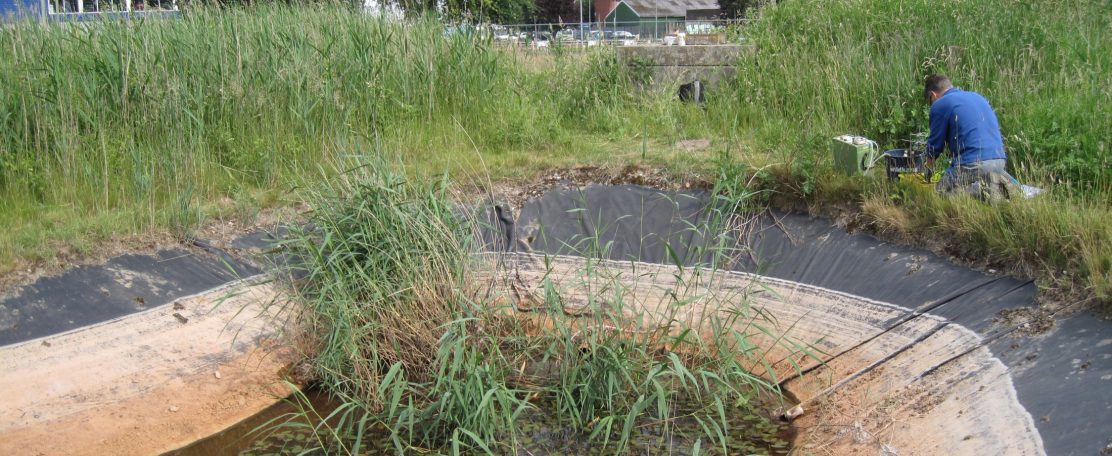 Groene bodemsanering met helofytenfilter in cultuurlandschap