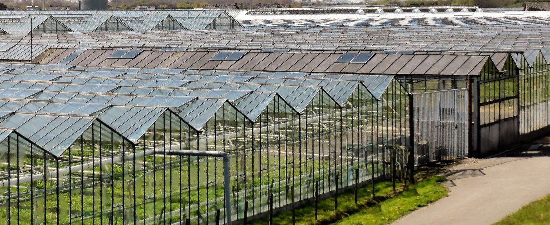 Technologie voor behandeling van lozingswater in de glastuinbouw