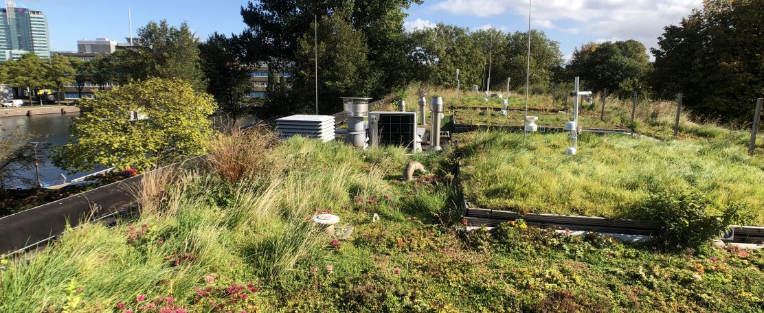 Koel hoofd en droge voeten dankzij blauwgroen dak