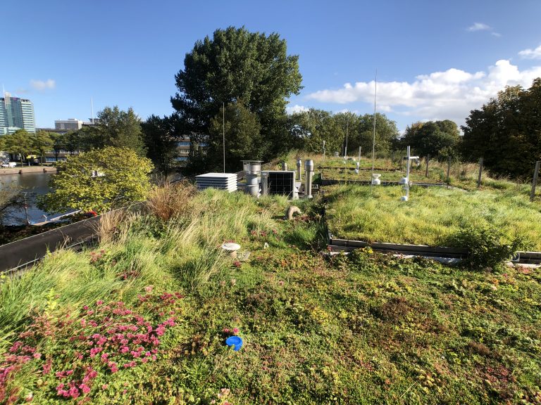 Koel hoofd en droge voeten dankzij blauwgroen dak