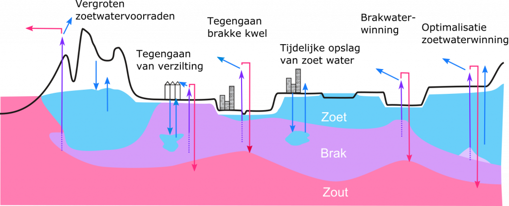 Schematisch overzicht van uiteenlopende COASTAR-concepten voor laag-Nederland. In alle gevallen staat een robuuste zoetwatervoorziening centraal door een grootschalige, georganiseerde inzet van de ondergrond voor opslag en levering van zoetwater.