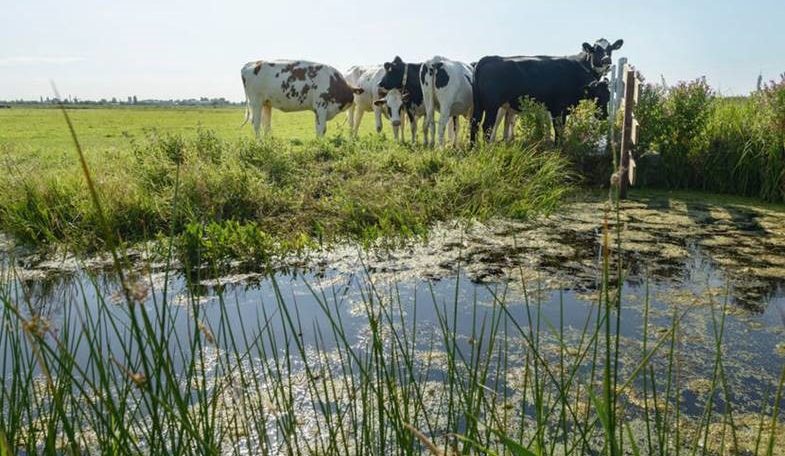 Eerste oproep voor PPS-projecten Landbouw, Water, Voedsel