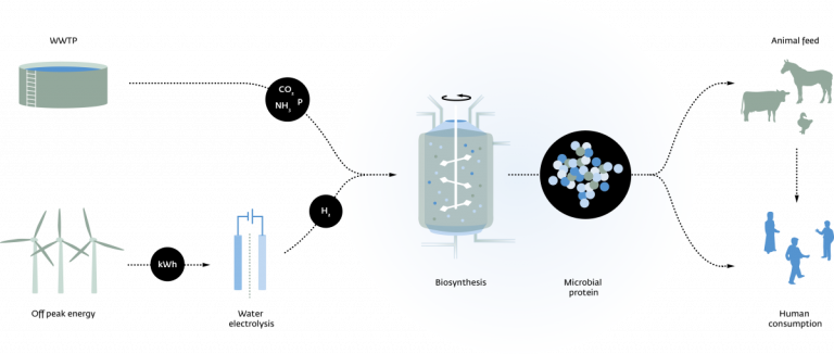 Power-to-Protein: efficiënte inbreng van waterstof (fase 3)