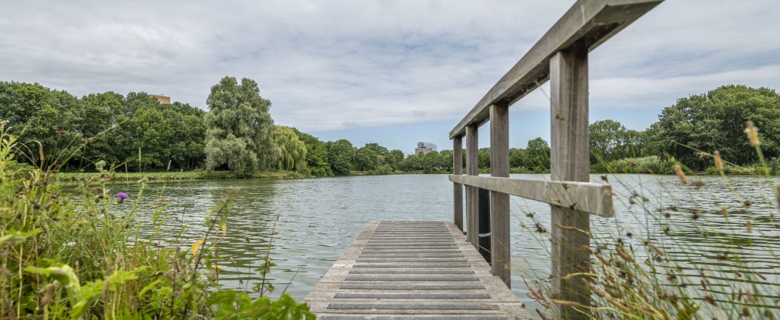 Snelle detectie van fecale verontreiniging in zwemwater