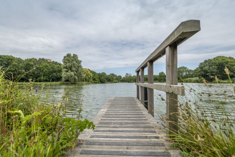 Snelle detectie van fecale verontreiniging in zwemwater