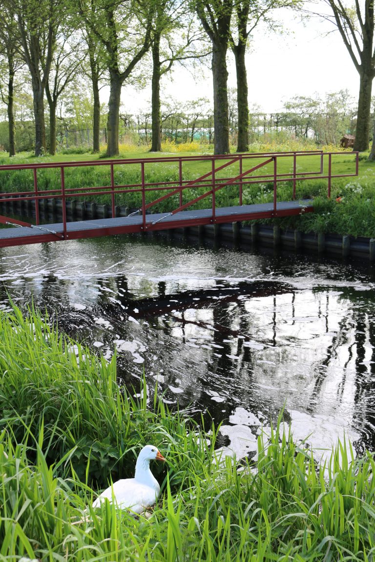 Consortium onderzoekt effect ‘bellenscherm’ op microplastics in gezuiverd afvalwater