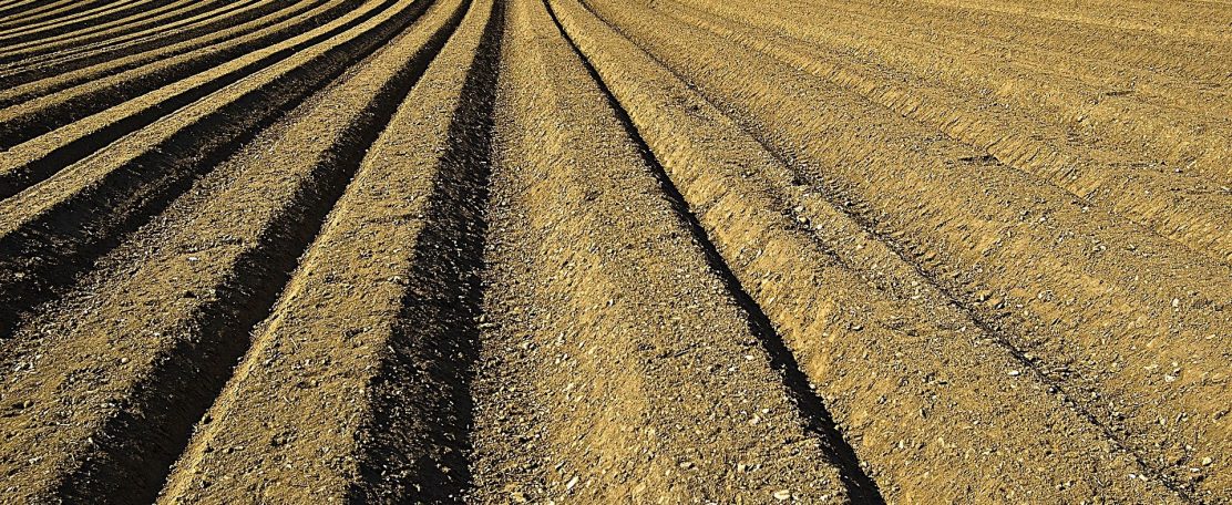 Zuiveringsslib biedt kansen voor hergebruik of recycling micronutriënten