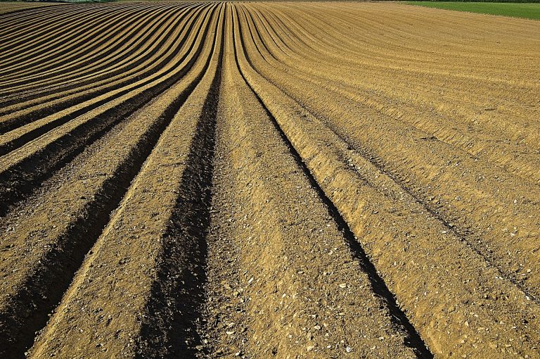 Micronutriënten in de kringloop