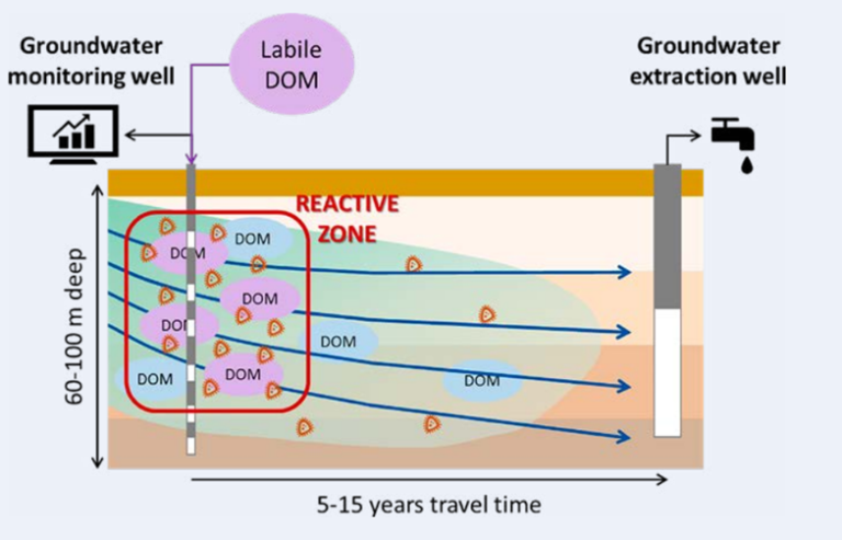 Dissolved organic matter dosing