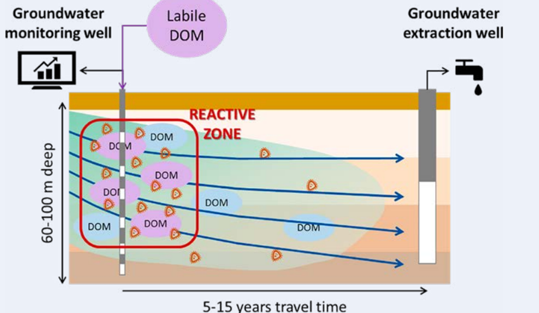 Dissolved organic matter dosing