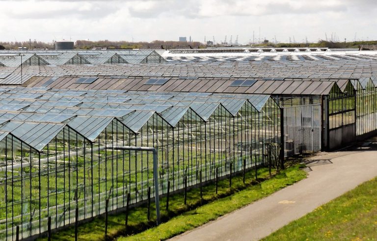 Middelhoge temperatuur opslag (MTO) voor de glastuinbouw