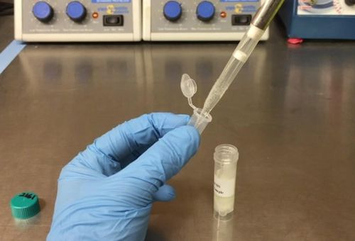 Diagnostiek ecologische oppervlaktewaterkwaliteit met behulp van (environmental) DNA-tools