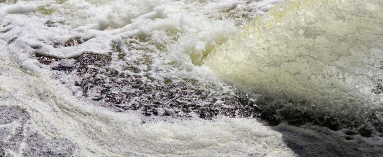 Nieuw kennis- en innovatieprogramma voor PFAS in de bodem van start