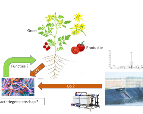 Organische stof in recirculatiewater voor sturing microbiële diversiteit en functionaliteit (OSIRES)
